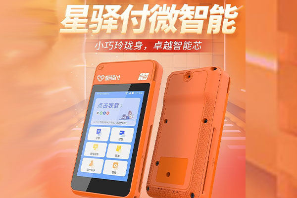 囊谦国通微电签POS机